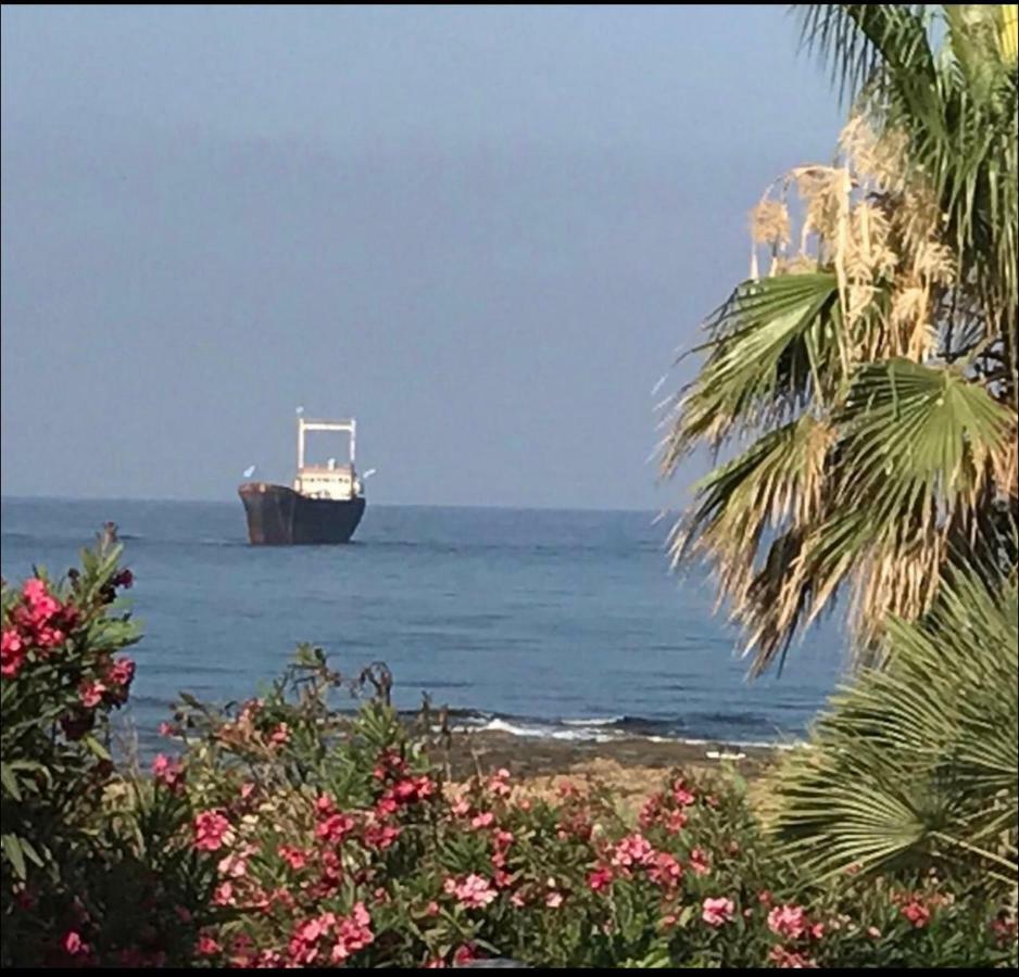 Paphos 34 Beach Villa מראה חיצוני תמונה